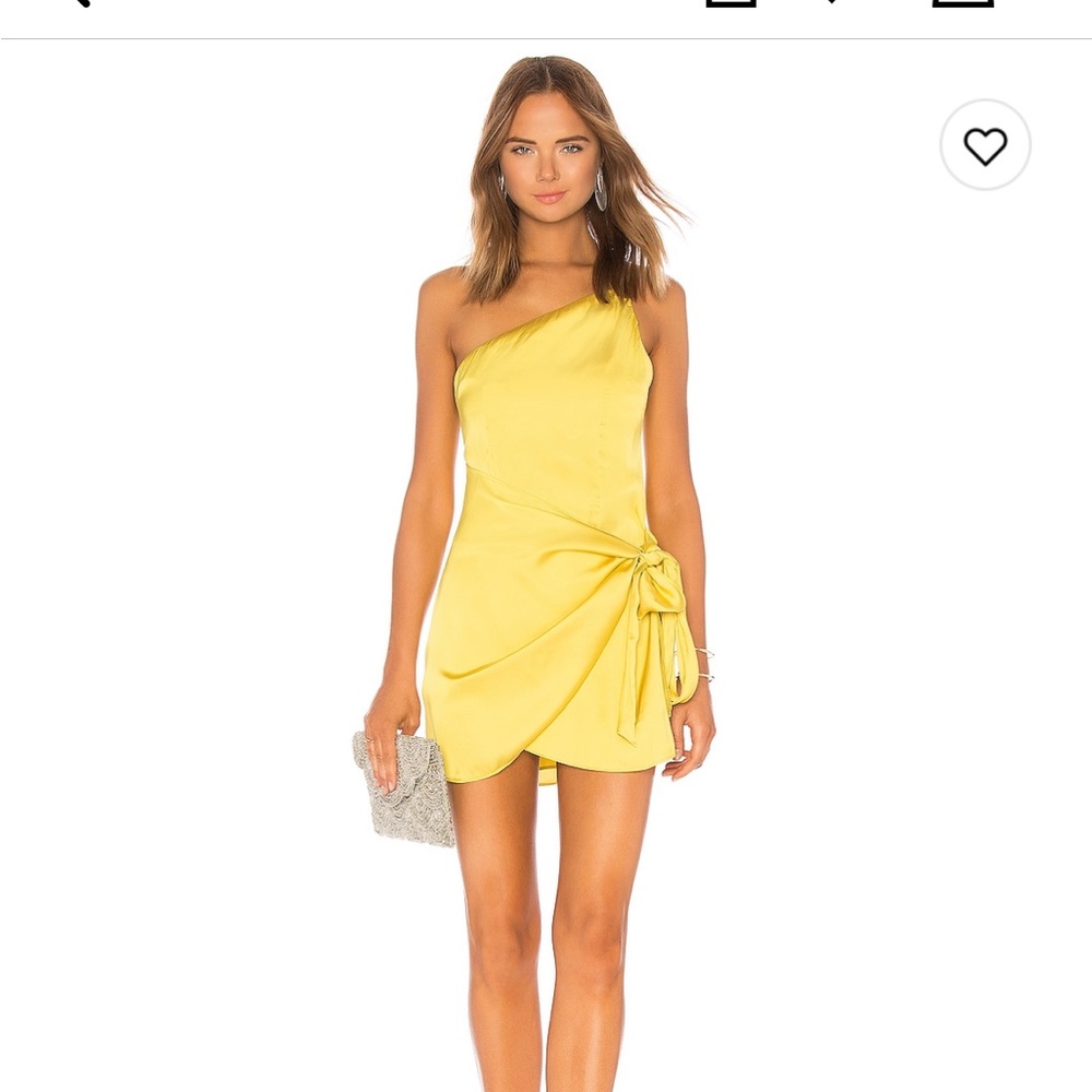 Lovers and friends mini dress